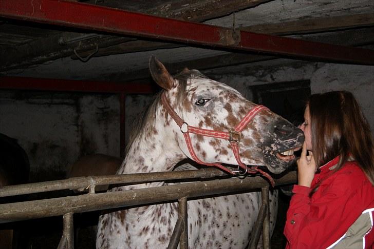 Knabstrupper Flying Vendetta (Bisse$;) - Mig og Bisse!i;´. mysser!:D - Elsker dig hesti!(´: billede 10