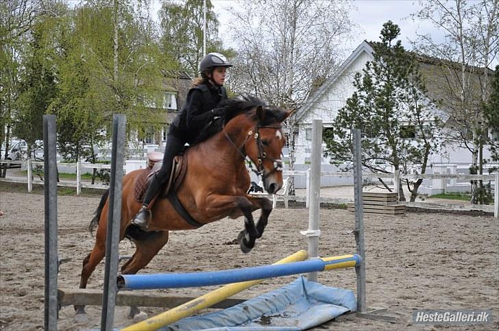 Anden særlig race Zarahby  - lille tørgrav ;D foto: becca billede 18