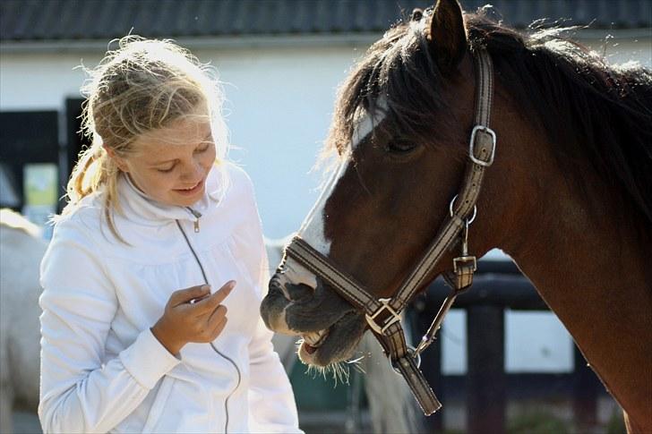 Anden særlig race Lucky Boy † miss you † - 13) Du bliver bedere og bederre til tricket smile <3| Foto: MC | billede 13