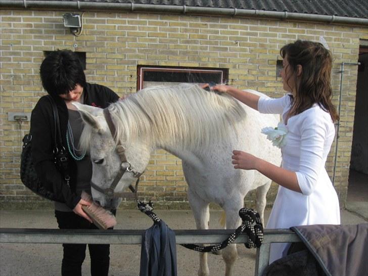 Anden særlig race | Elajka <3 *Rider* - Signe, Karoline og Elajka <3 | Foto: Mor <3 billede 3