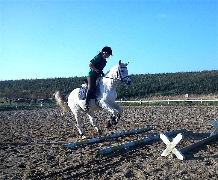 Anden særlig race | Elajka <3 *Rider* - Elajka, det er kun en bom? ;-b | Foto: Far <3 billede 13