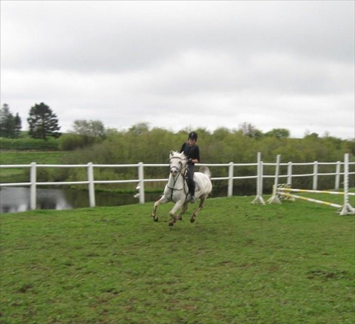 Anden særlig race | Elajka <3 *Rider* - Fræææææs! ö | Foto: Mor <3 billede 14