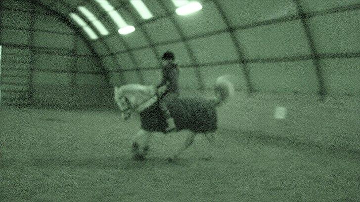 Anden særlig race | Elajka <3 *Rider* - Vinter 2011 :-) | Foto: Fine <3 billede 17
