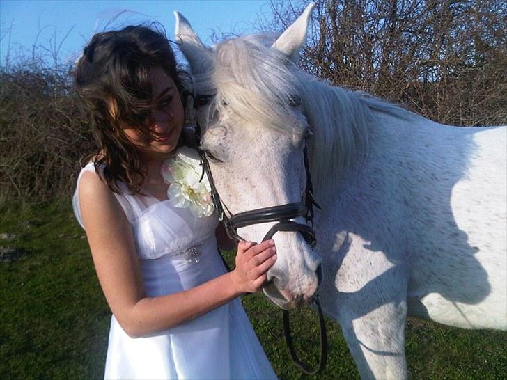 Anden særlig race | Elajka <3 *Rider* - Jeg elsker dig <3 | Foto: Signe <3 billede 18