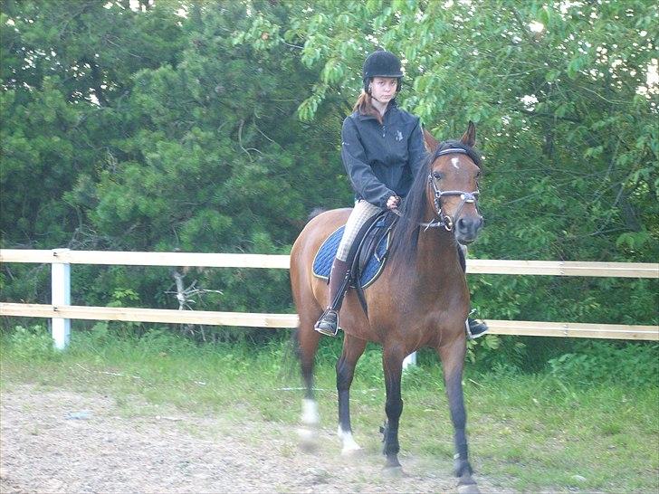 Anden særlig race sebastian billede 13