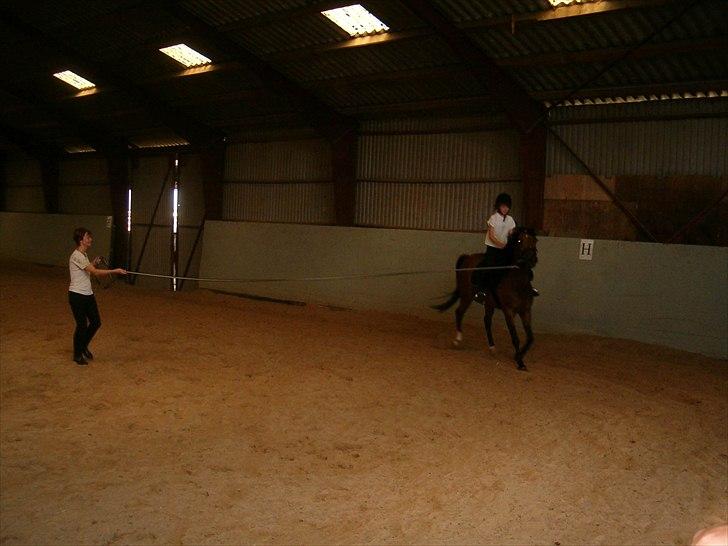 Anden særlig race sebastian billede 15