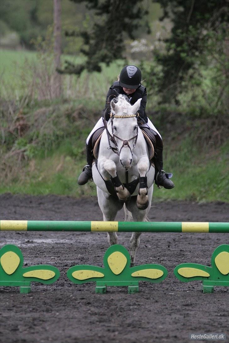 Anden særlig race Snowball - du springer som en drøm jeg vil altid elske dig !!! billede 3
