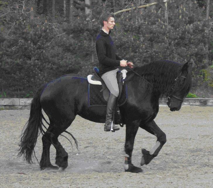 Frieser Freule van de Spiegelplas billede 17