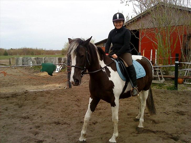 Anden særlig race Piper Solgt :-( billede 6