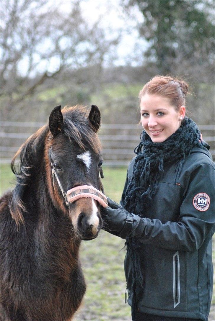 Anden særlig race Supremés My Lady - januar 2011 - taget af Maiken Nielsen. billede 6