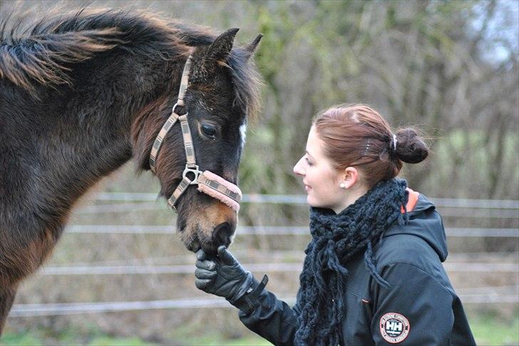 Anden særlig race Supremés My Lady - januar 2011 :) taget af Maiken Nielsen. billede 8