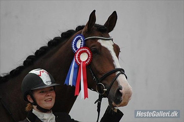 Trakehner High Skye *STJERNE* <3 R.I.P 25/03/2013 - Nr. 16 - I´m everything I am, because you love me  billede 14