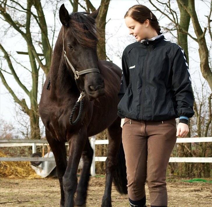 Frieser Hero billede 1