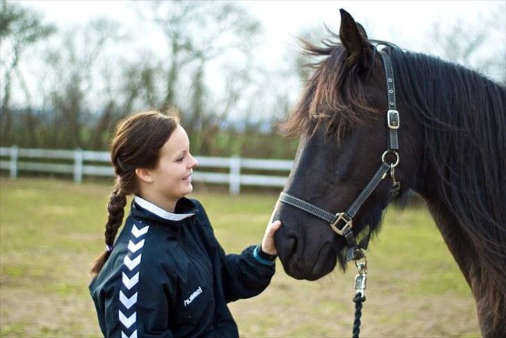 Frieser Hero billede 10