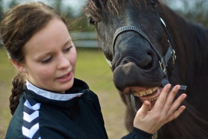 Frieser Hero billede 11