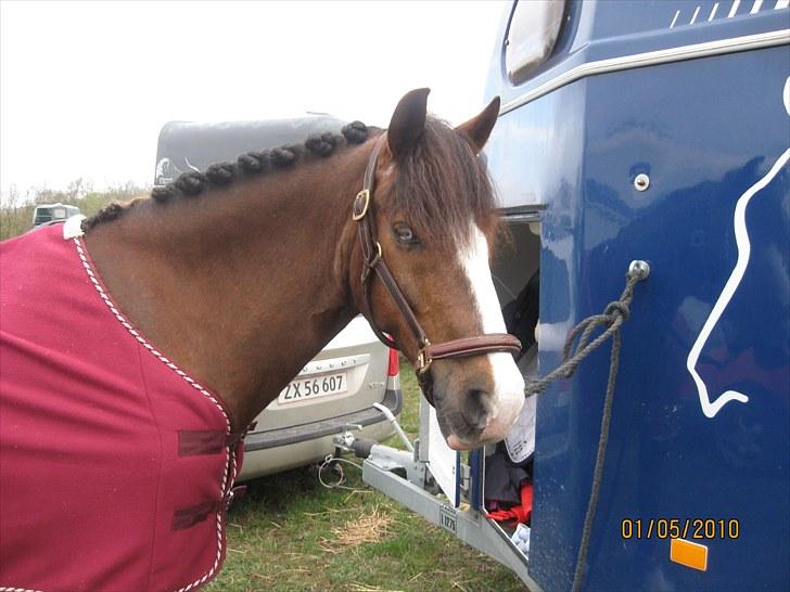 DSP simba<3 (bassemand) - til stævne i løri:) billede 4