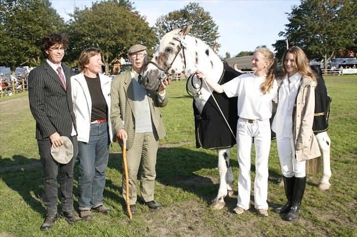 Knabstrupper Pik As af Silver R.i.p ;( - pico: dagens hest til store hestedag 2010!!!!!!! <3 den smukkeste hest på dagen :) Fotograf: Fotograf:) billede 20