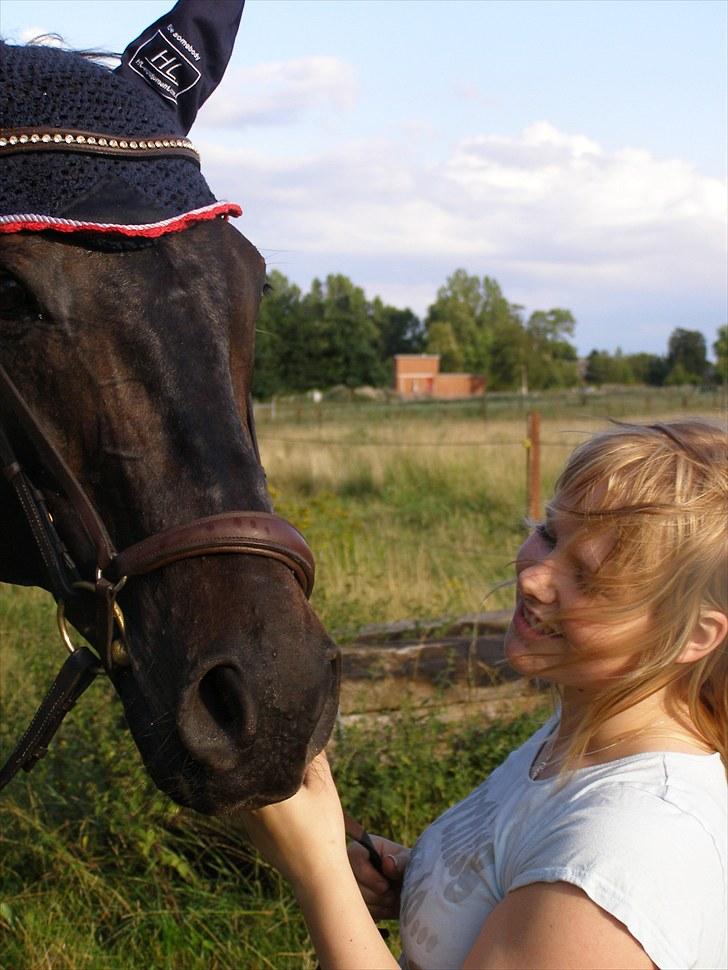 Fuldblod (XX) Masterkova  billede 20