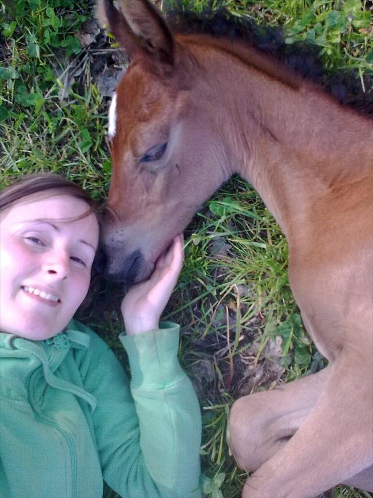Arabisk fuldblod (OX) Chanel Cosh - Chanel og jeg hygger i det grønne (6 dage gammel) billede 15