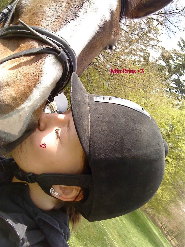 Anden særlig race Millenium Pride - Min Prins <3 billede 7