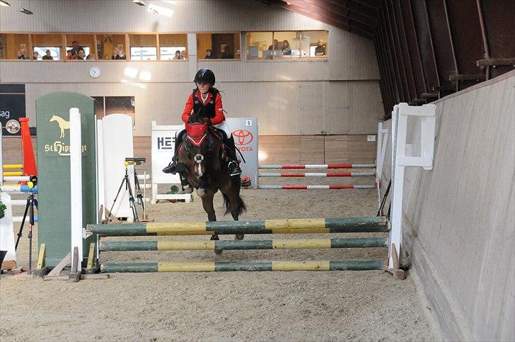 Welsh Pony af Cob-type (sec C) Åvangens Victoria -  Her rider vi Lb* og vandt klassen :D Foto: Astrid S-H billede 2
