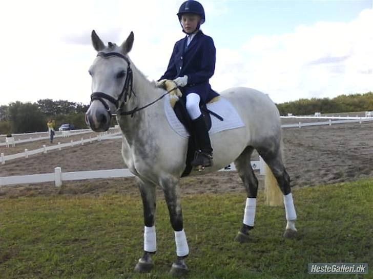 Anden særlig race Valéz - Valle og Sara til deres første stævne, blot en uge efter de købte ham! Lykkeshøj, august 2008 billede 19