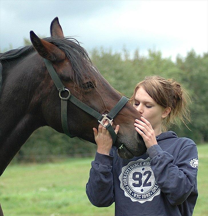 Dansk Varmblod Sommerlunds Unik - Jeg elsker dig :-* {Foto: Julie} billede 8