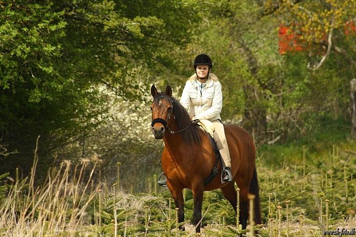 Anden særlig race Sani Cheval - Sani og jeg d. 14/5-2010 billede 14