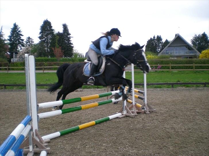 Anden særlig race Black Beauty  - springning fredag d. 14 maj <3 så fint over 80cm!:P billede 16