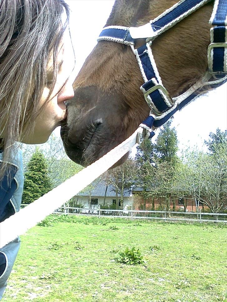 Traver toffee(solgt) - dejlig at have en ven som dig billede 4