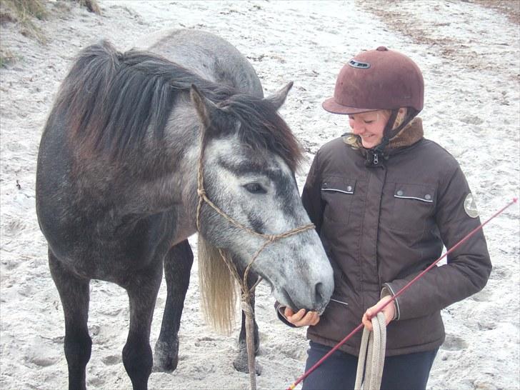 Cruzado MAÑOSO - På stranden med Joso.. dejlig tur, red ham nedtil standen sammen med de andre! nu er han endelig ved at være en voksen hest  billede 20