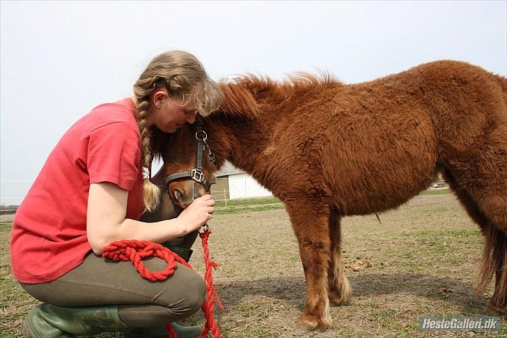 Anden særlig race Thea *Solgt* billede 3