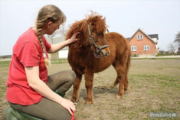Anden særlig race Thea *Solgt* billede 4