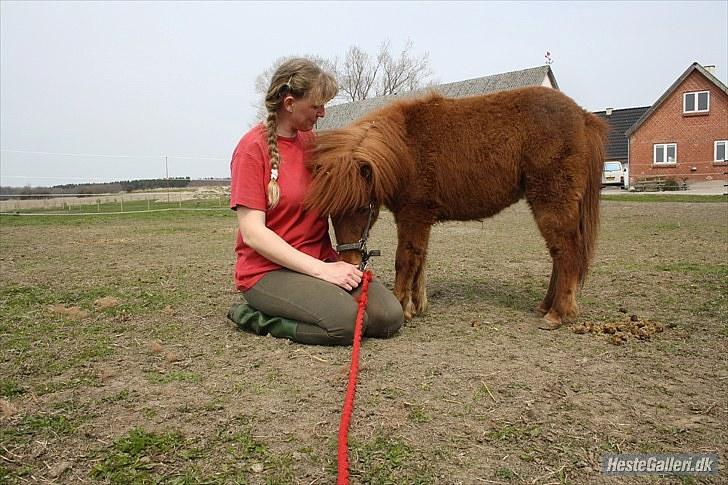 Anden særlig race Thea *Solgt* billede 10