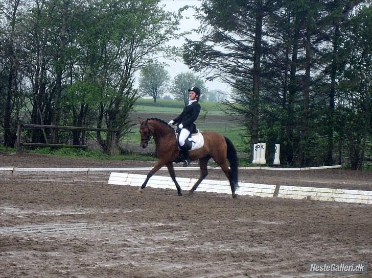 DSP Ambrosius A.M. SOLGT :(  billede 16