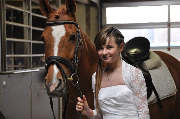 Tysk Sportspony Naren billede 12