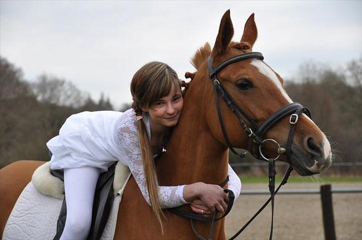 Tysk Sportspony Naren billede 13