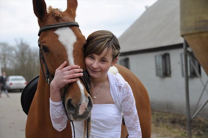 Tysk Sportspony Naren billede 14