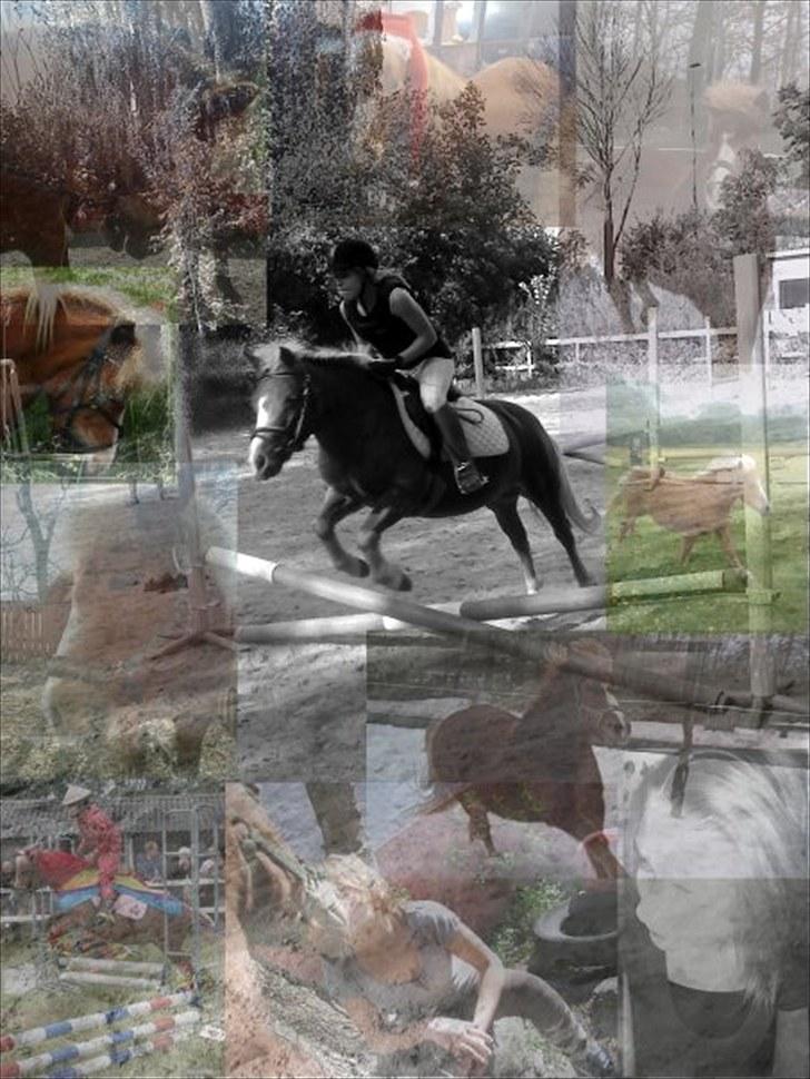 Anden særlig race Sasha DEN SAVNEDE<3 billede 3