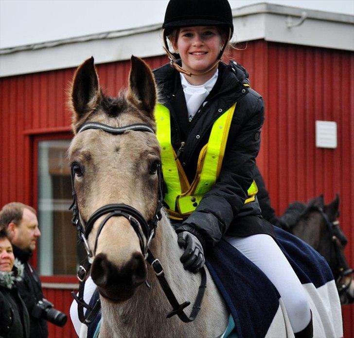 Anden særlig race Chiano :-) <3 solgt! - 2. Fra stævnet i krk :-) foto; TMC-foto  billede 2