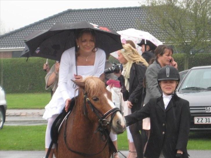 Anden særlig race Sasha DEN SAVNEDE<3 - Sasha kom op til kirken sammen med Caroline da jeg blev konfirmeret (; Fotograf Nitta (; billede 5