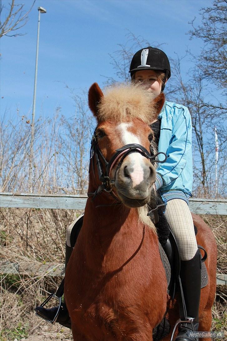 Anden særlig race Sasha DEN SAVNEDE<3 - Mesterfotograf: Sabrina (: billede 6