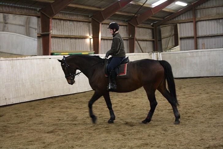 Anden særlig race Jasmin - Rasmin ;p * SOLGT * billede 10