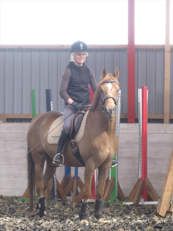 DSP Bobby Joe *solgt* billede 1