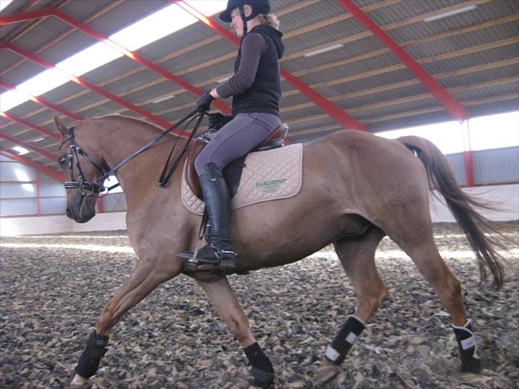 DSP Bobby Joe *solgt* billede 3