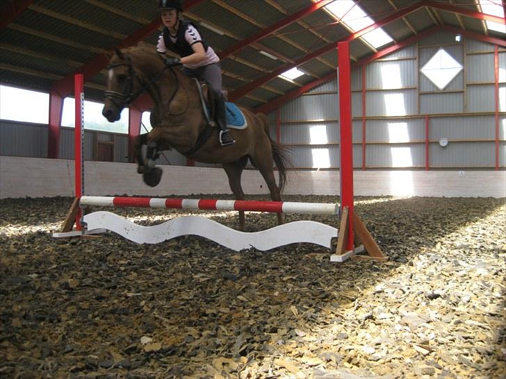 DSP Bobby Joe *solgt* billede 4