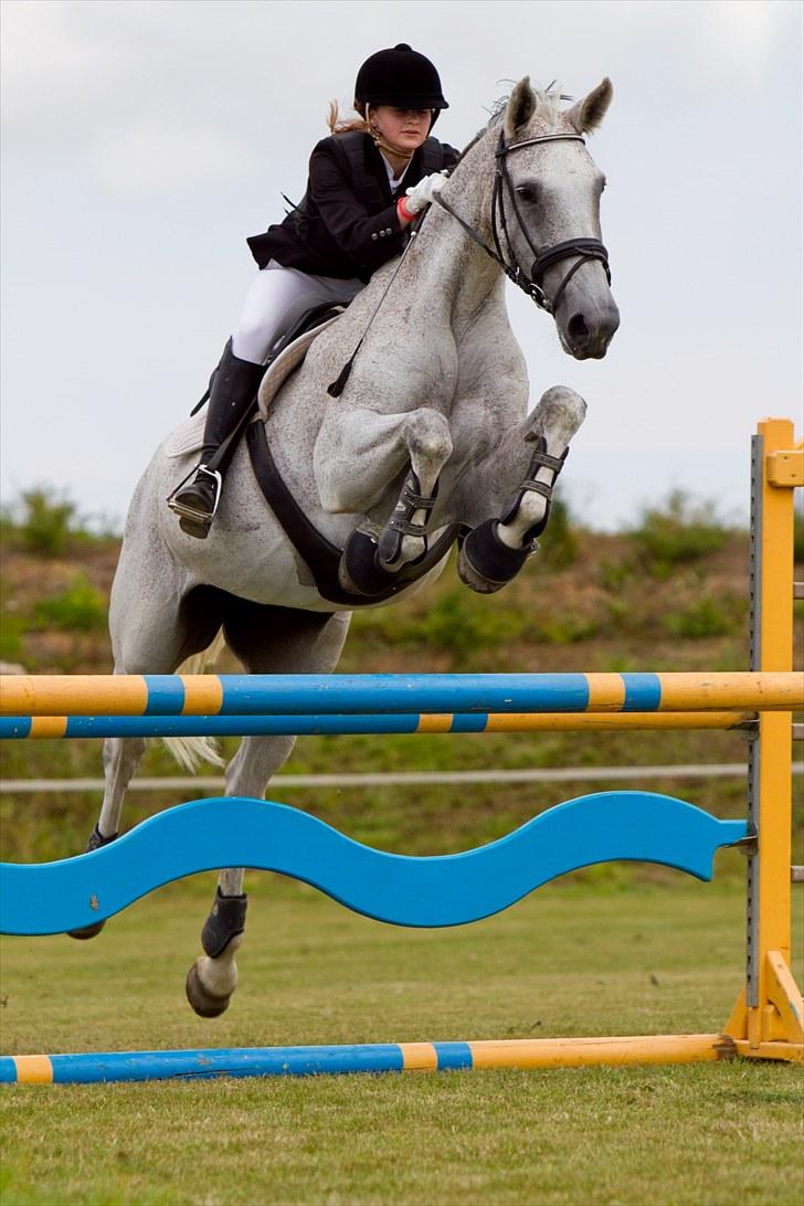 Holstener CORVARA 7  billede 15