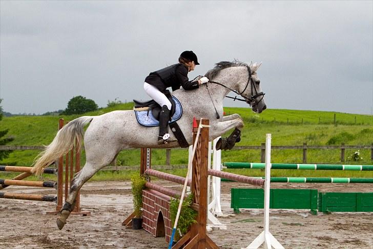 Holstener CORVARA 7  - SYK C-stævne LC 2. plads :-) Ctfoto.dk ©  billede 16