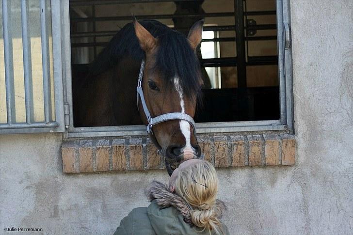 Anden særlig race Miss caya billede 18
