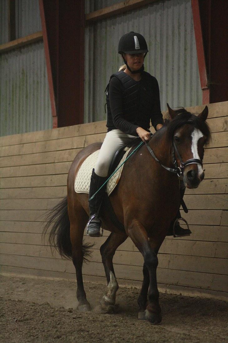 Anden særlig race Lucky Boy † miss you † - 16) Du er en éner! | Foto: Amalie  med mit kamara<3 | billede 16